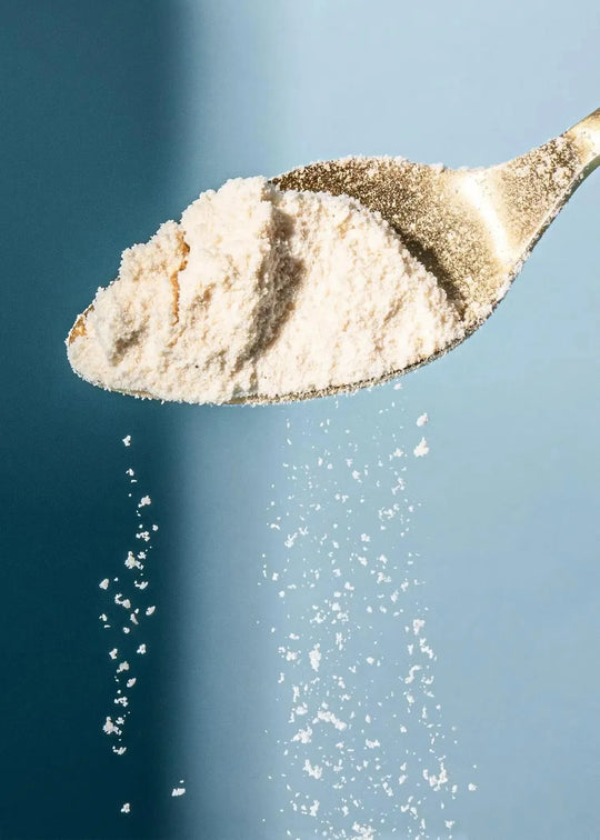 KoRo Bio Kokosmehl | 1kg - fitgrade.ch