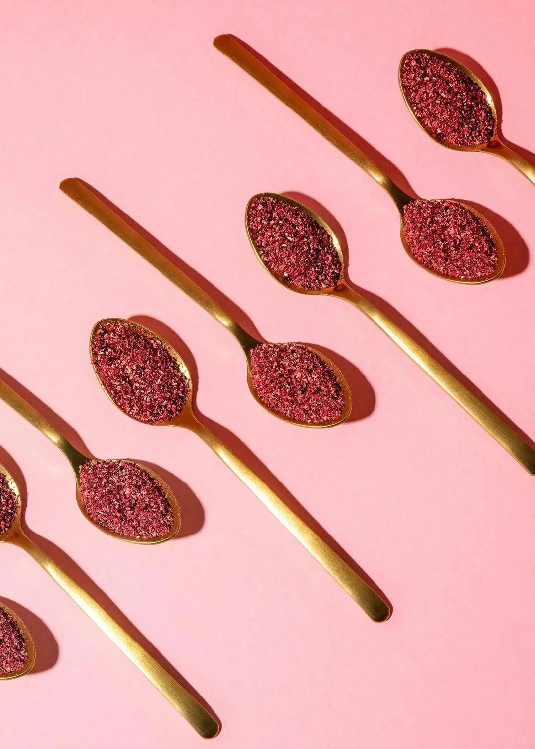 KoRo Gefriergetrocknetes schwarzes Johannisbeerpulver | 250 g - fitgrade.ch