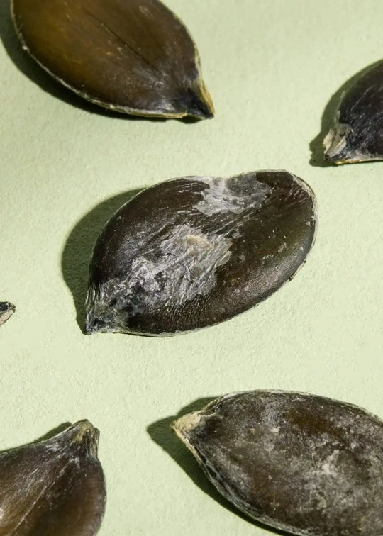 KoRo Geröstete und gesalzene Kürbiskerne aus der Steiermark | 1kg - fitgrade.ch