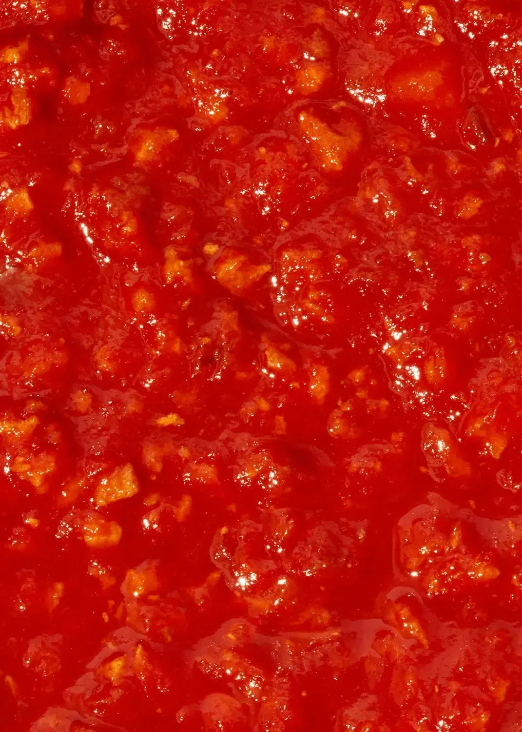 KoRo Vegane Bolognese | 530 g - fitgrade.ch